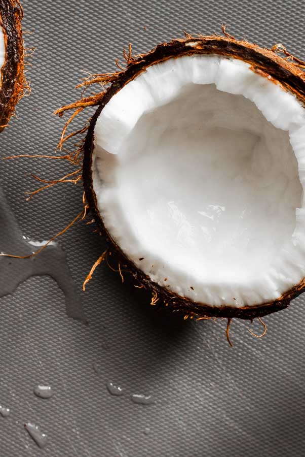 coconut