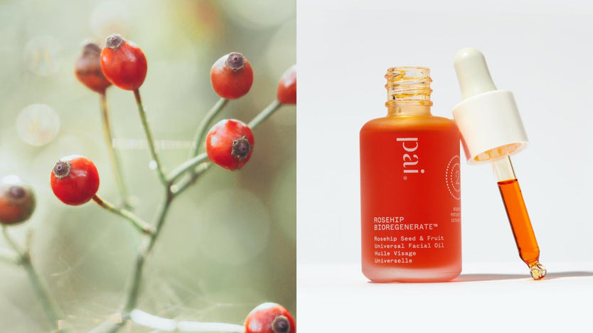 cold pressed rosehip oil